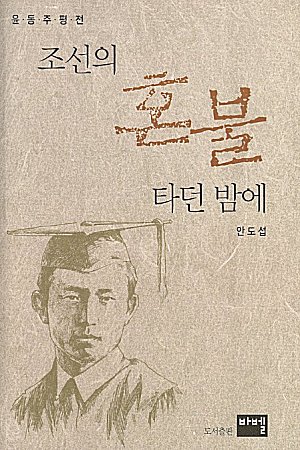 『조선의 혼불 타던 밤에』표지 